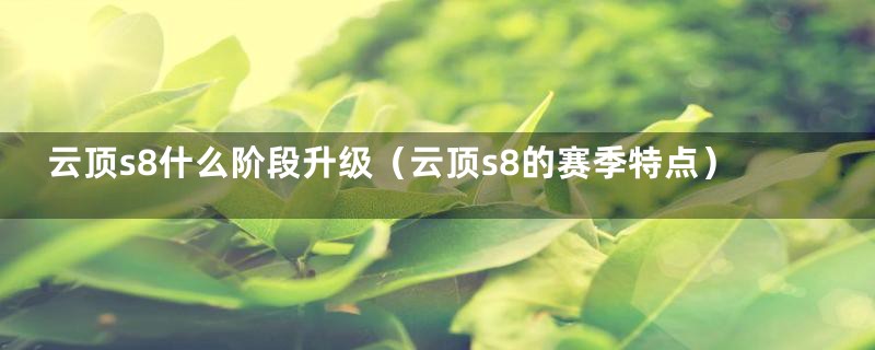 云顶s8什么阶段升级（云顶s8的赛季特点）