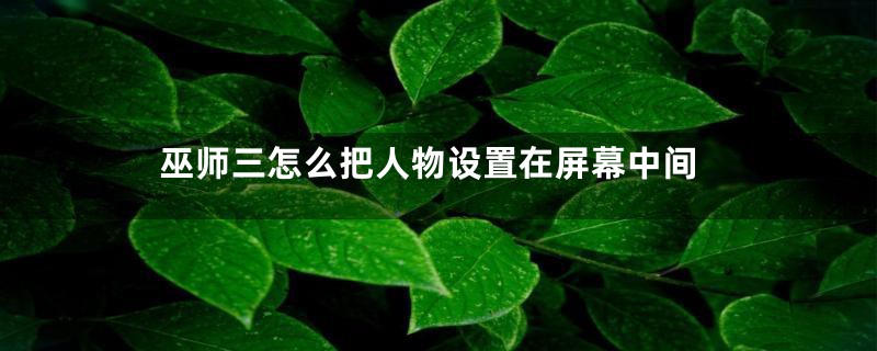 巫师三怎么把人物设置在屏幕中间