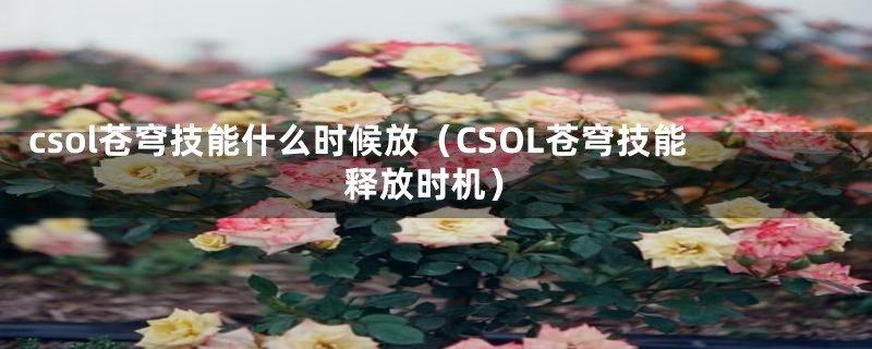 csol苍穹技能什么时候放（CSOL苍穹技能释放时机）