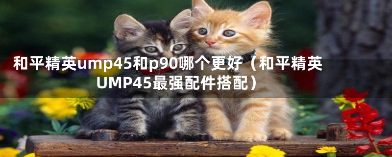 和平精英ump45和p90哪个更好（和平精英UMP45最强配件搭配）