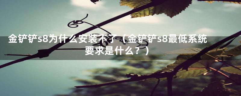 金铲铲s8为什么安装不了（金铲铲s8最低系统要求是什么？）