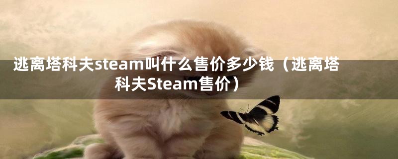 逃离塔科夫steam叫什么售价多少钱（逃离塔科夫Steam售价）