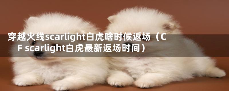 穿越火线scarlight白虎啥时候返场（CF scarlight白虎最新返场时间）