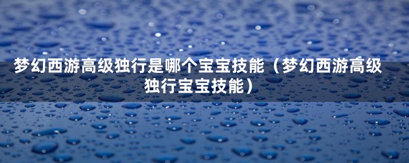 梦幻西游高级独行是哪个宝宝技能（梦幻西游高级独行宝宝技能）