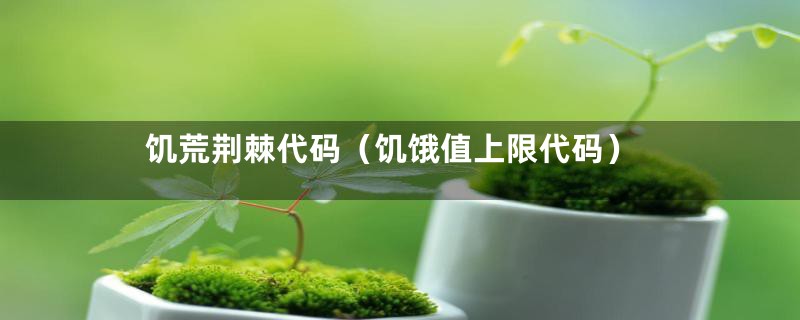 饥荒荆棘代码（饥饿值上限代码）