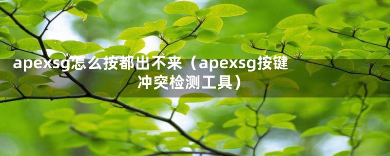 apexsg怎么按都出不来（apexsg按键冲突检测工具）