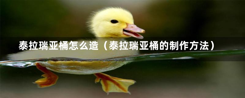 泰拉瑞亚桶怎么造（泰拉瑞亚桶的制作方法）