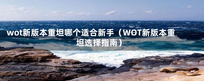 wot新版本重坦哪个适合新手（WOT新版本重坦选择指南）