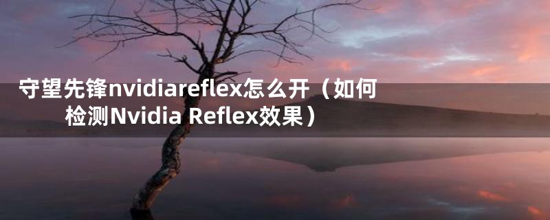 守望先锋nvidiareflex怎么开（如何检测Nvidia Reflex效果）