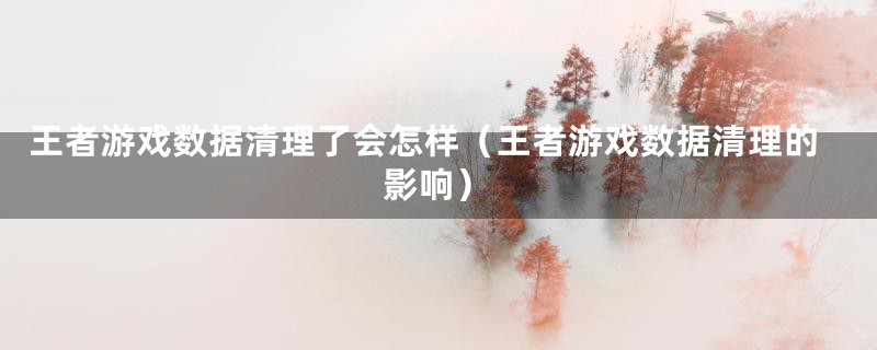 王者游戏数据清理了会怎样（王者游戏数据清理的影响）