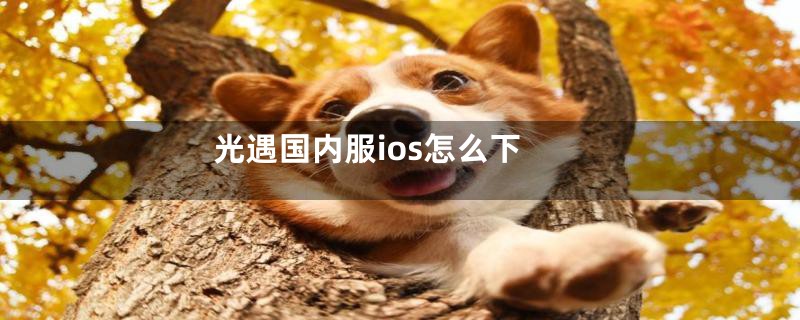 光遇国内服ios怎么下