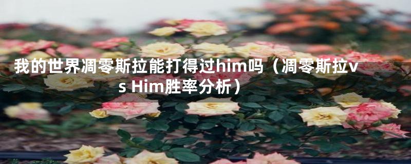 我的世界凋零斯拉能打得过him吗（凋零斯拉vs Him胜率分析）