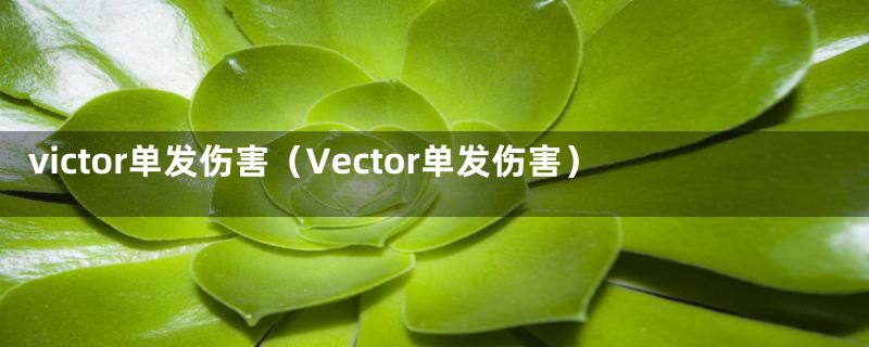 victor单发伤害（Vector单发伤害）