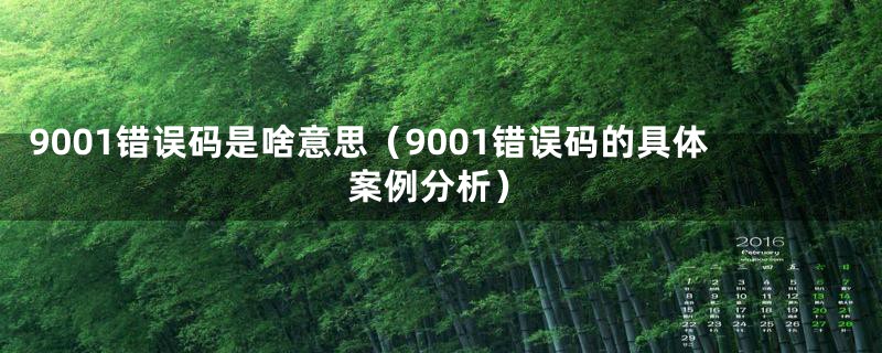 9001错误码是啥意思（9001错误码的具体案例分析）