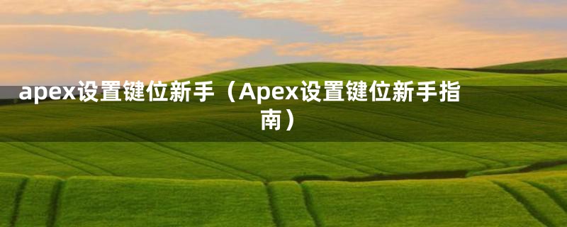 apex设置键位新手（Apex设置键位新手指南）