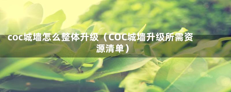 coc城墙怎么整体升级（COC城墙升级所需资源清单）