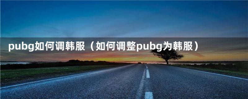 pubg如何调韩服（如何调整pubg为韩服）