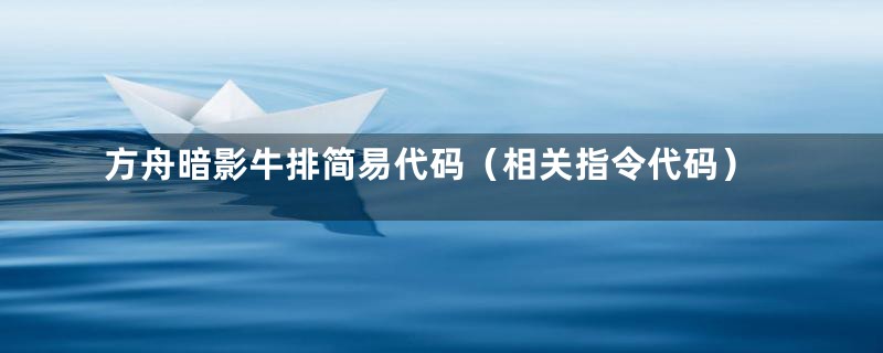 方舟暗影牛排简易代码（相关指令代码）