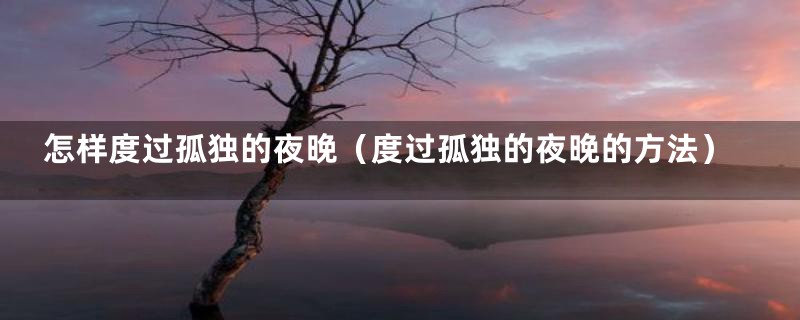 怎样度过孤独的夜晚（度过孤独的夜晚的方法）