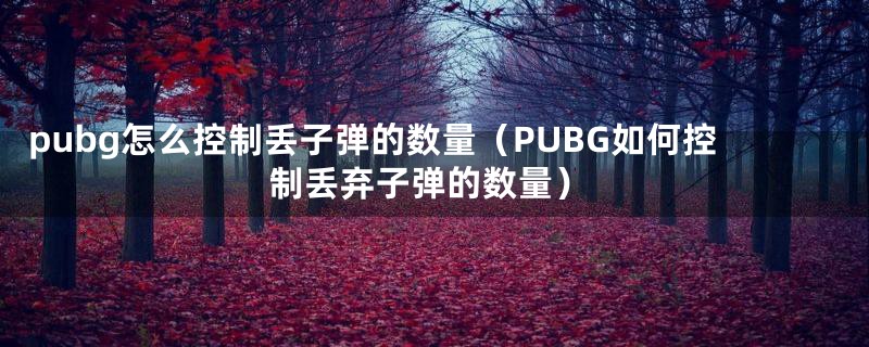 pubg怎么控制丢子弹的数量（PUBG如何控制丢弃子弹的数量）