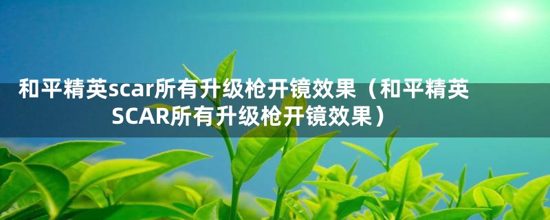 和平精英scar所有升级枪开镜效果（和平精英SCAR所有升级枪开镜效果）