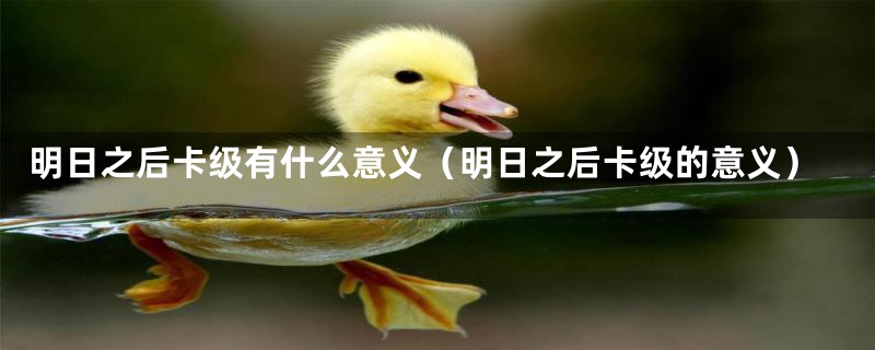 明日之后卡级有什么意义（明日之后卡级的意义）