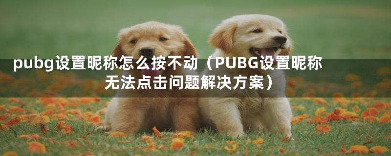 pubg设置昵称怎么按不动（PUBG设置昵称无法点击问题解决方案）