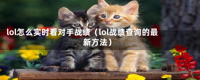 lol怎么实时看对手战绩（lol战绩查询的最新方法）