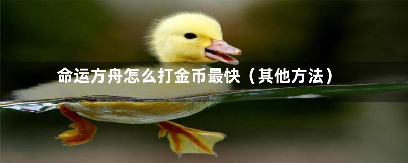 命运方舟怎么打金币最快（其他方法）