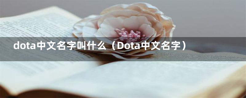 dota中文名字叫什么（Dota中文名字）