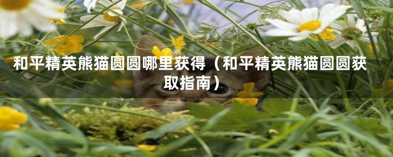 和平精英熊猫圆圆哪里获得（和平精英熊猫圆圆获取指南）