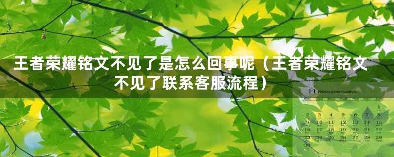 王者荣耀铭文不见了是怎么回事呢（王者荣耀铭文不见了联系客服流程）