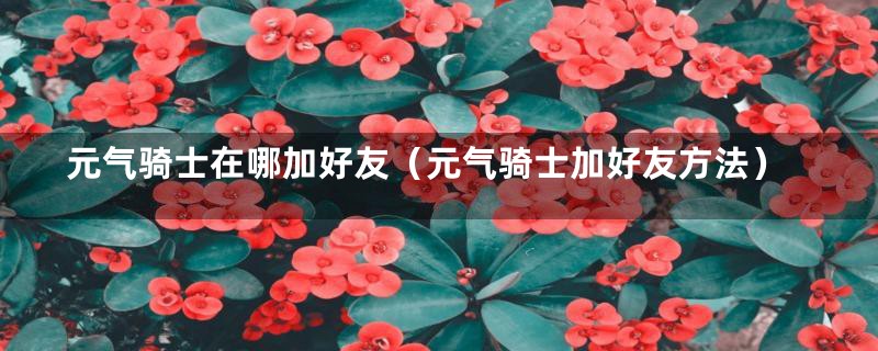 元气骑士在哪加好友（元气骑士加好友方法）