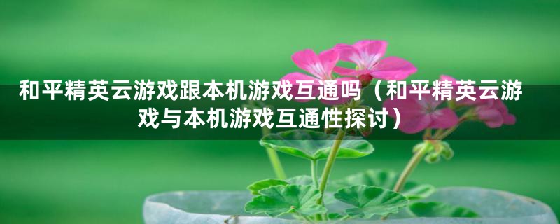 和平精英云游戏跟本机游戏互通吗（和平精英云游戏与本机游戏互通性探讨）