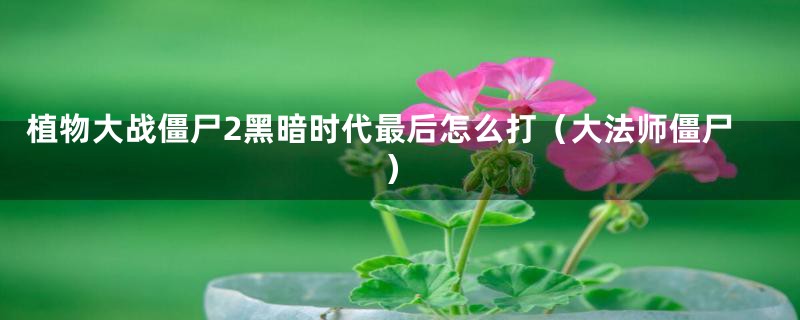 植物大战僵尸2黑暗时代最后怎么打（大法师僵尸）