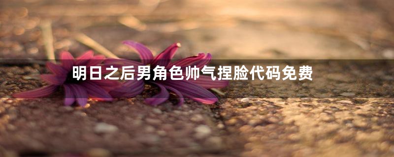 明日之后男角色帅气捏脸代码免费