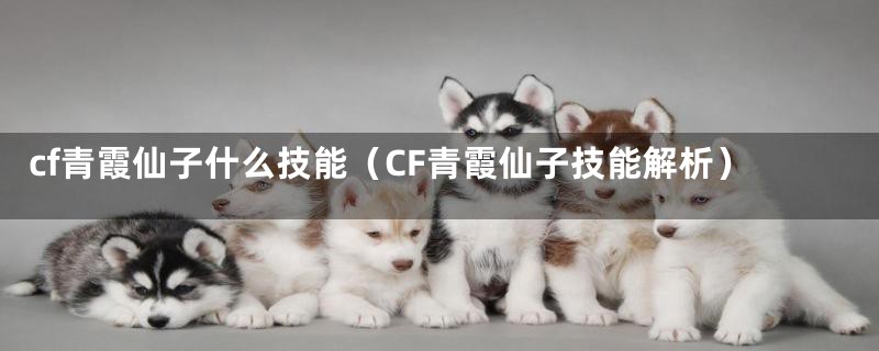 cf青霞仙子什么技能（CF青霞仙子技能解析）