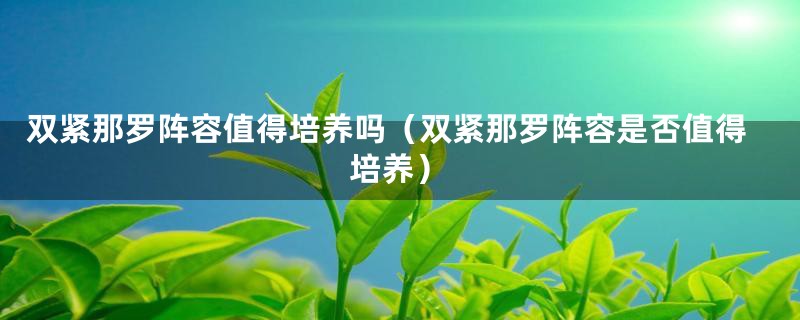 双紧那罗阵容值得培养吗（双紧那罗阵容是否值得培养）