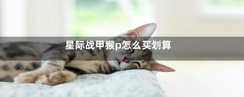 星际战甲猴p怎么买划算