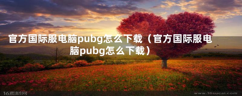 官方国际服电脑pubg怎么下载（官方国际服电脑pubg怎么下载）