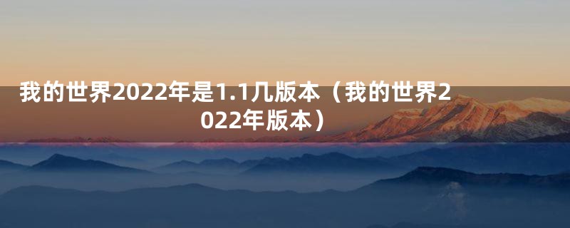 我的世界2022年是1.1几版本（我的世界2022年版本）