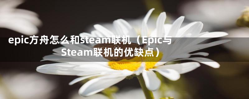 epic方舟怎么和steam联机（Epic与Steam联机的优缺点）