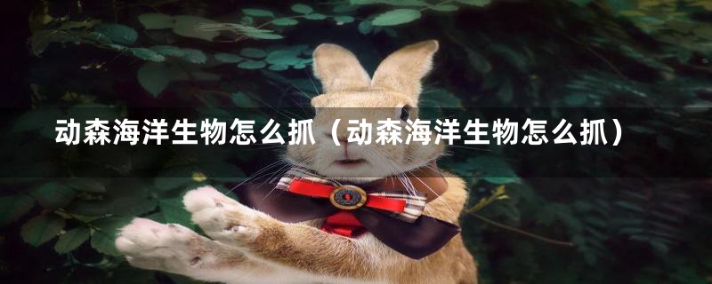 动森海洋生物怎么抓（动森海洋生物怎么抓）