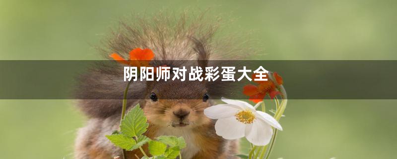 阴阳师对战彩蛋大全