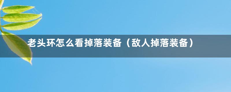 老头环怎么看掉落装备（敌人掉落装备）