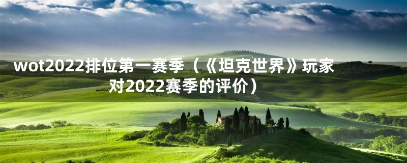 wot2022排位第一赛季（《坦克世界》玩家对2022赛季的评价）