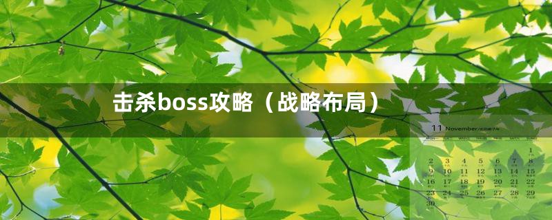 击杀boss攻略（战略布局）