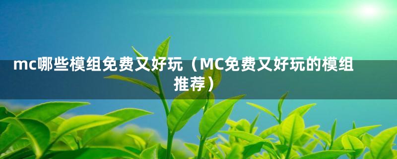 mc哪些模组免费又好玩（MC免费又好玩的模组推荐）