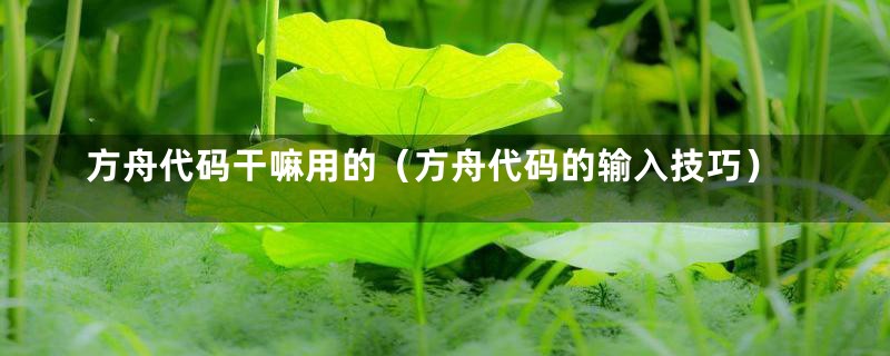 方舟代码干嘛用的（方舟代码的输入技巧）