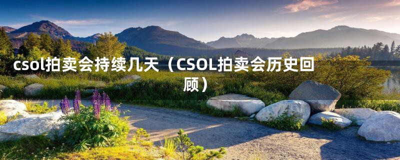 csol拍卖会持续几天（CSOL拍卖会历史回顾）